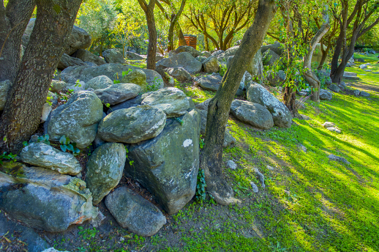 Parque